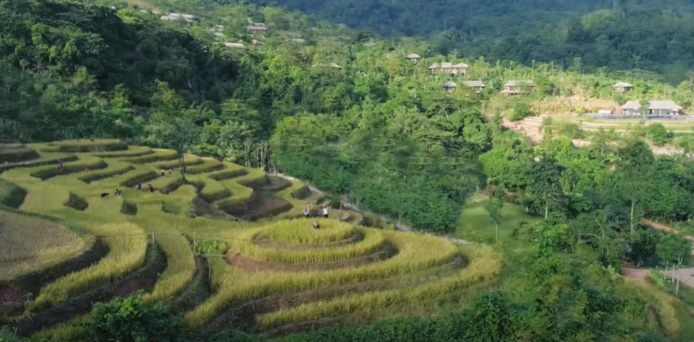 Luxury mountain retreat in Vietnam - Avana Retreat