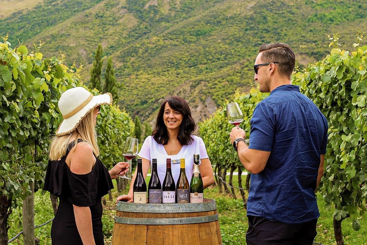 What To Bring On A Wine Tour - Embark On A Journey To The Land Of Exquisite Vineyards!