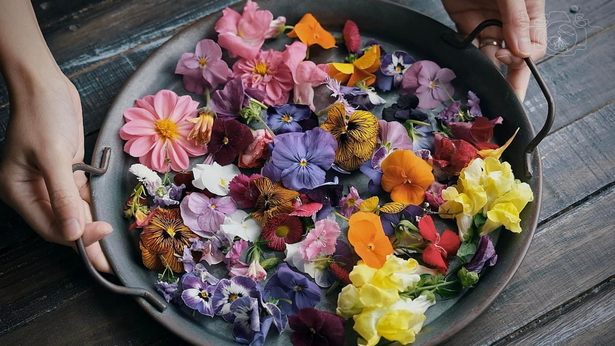 10 of the World's Most Beautiful Flowers - Edible® Blog
