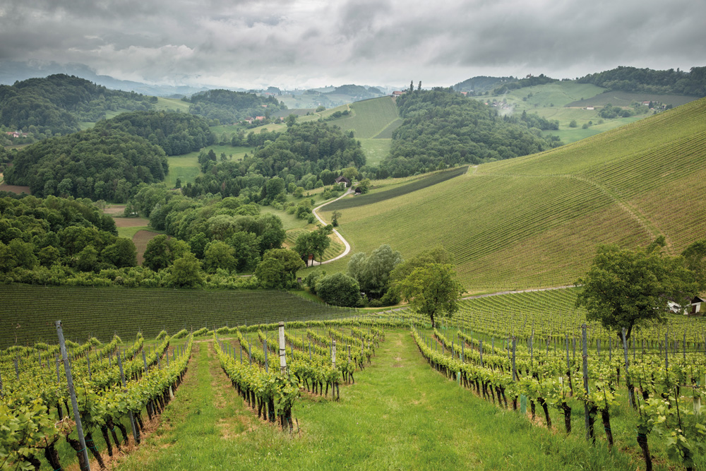 On The Austrian Wine Trail