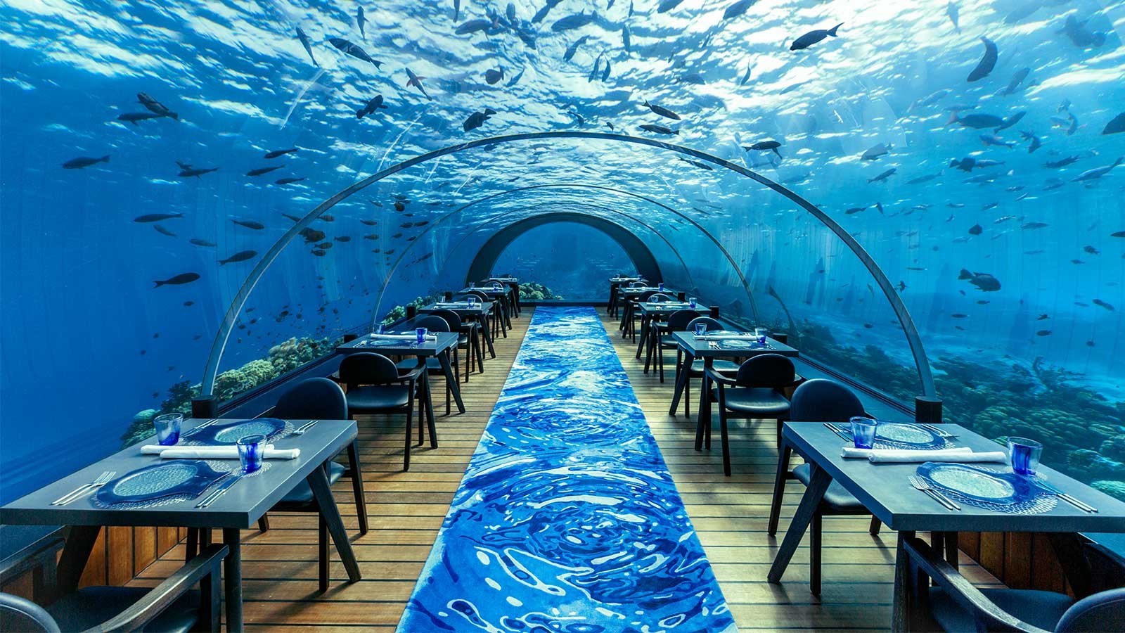 Dine Below The Waves - The Most Spectacular Underwater Restaurant