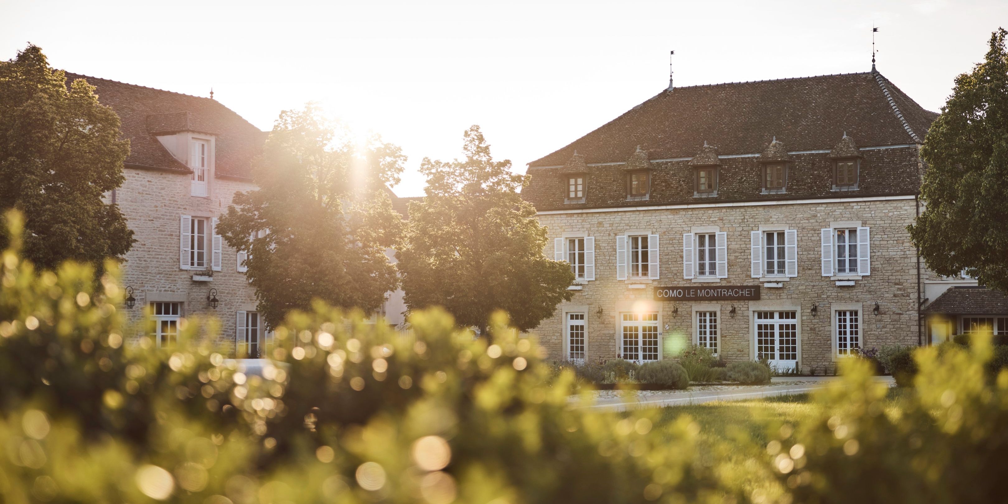 Visit COMO Le Montrachet For An Immersive Wine Journey In Burgundy