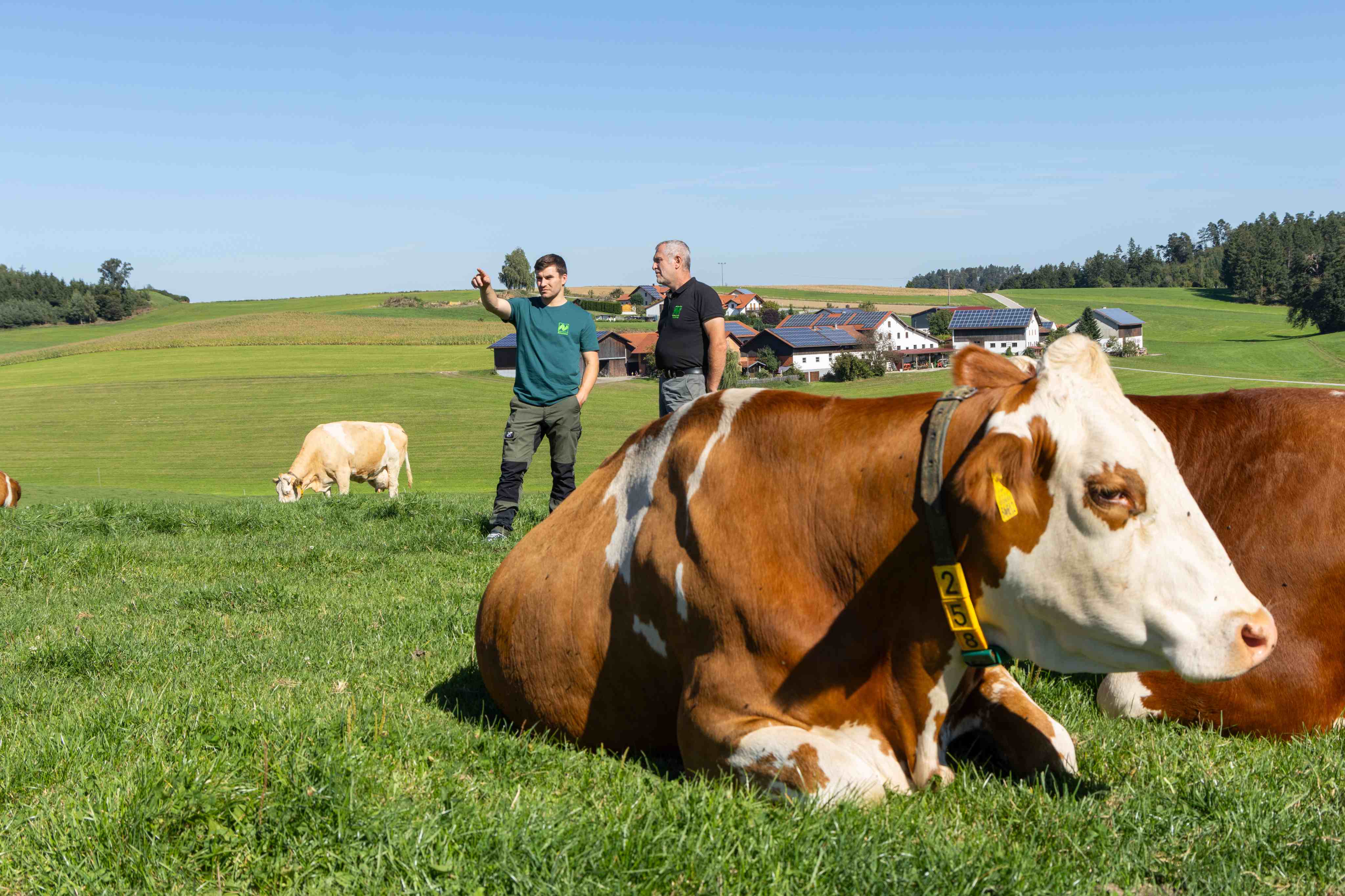 How Much Do You Know About The Milk You Consume?