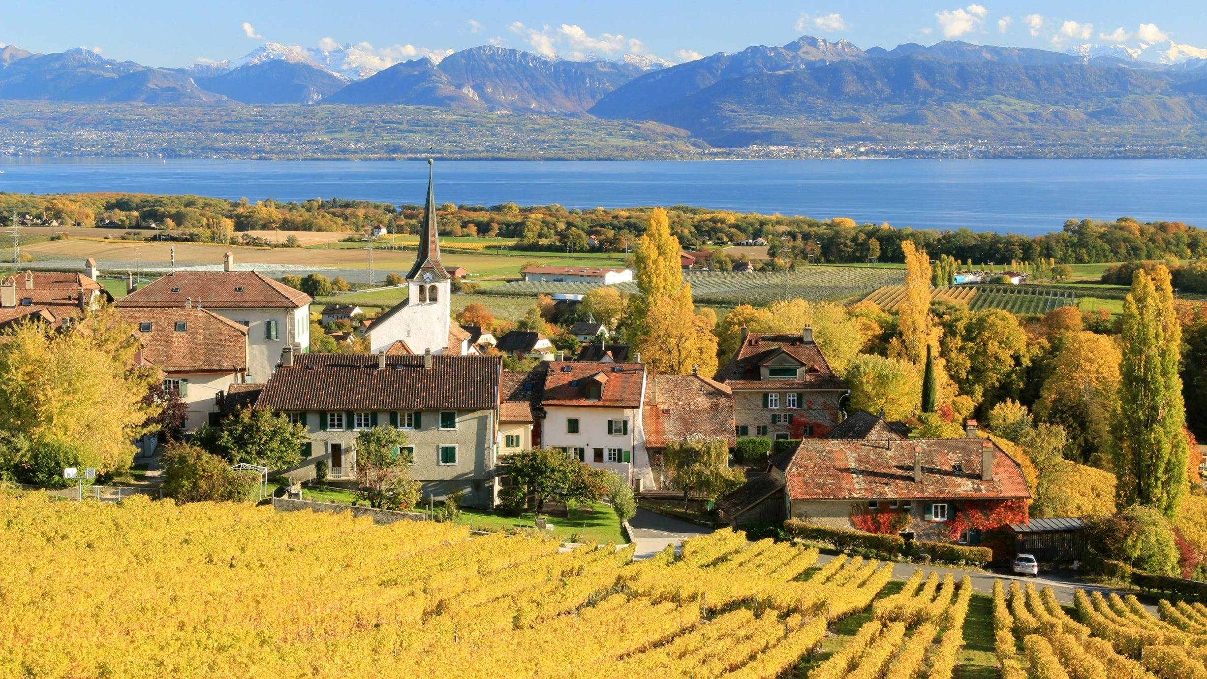 Swiss Wine Odyssey - Exploring Switzerland’s Six Iconic Wine Regions