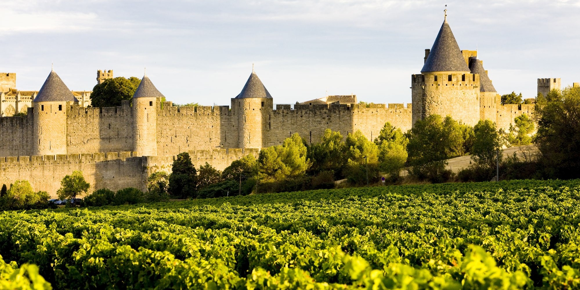 7 Up-And-Coming Wine Destinations To Discover