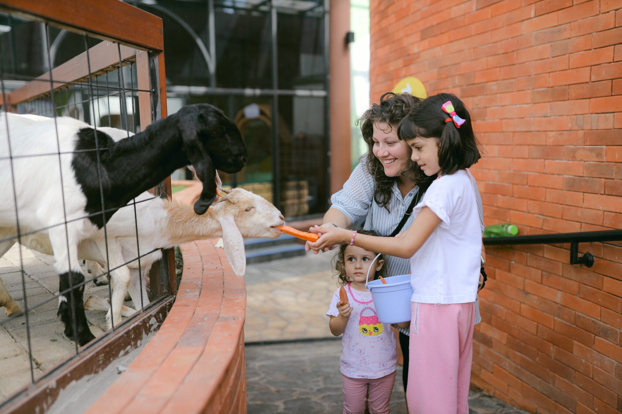 Easy Days Out With The Kids At Mai Main Canggu