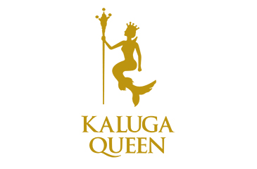 SPONSORS AND PARTNERS