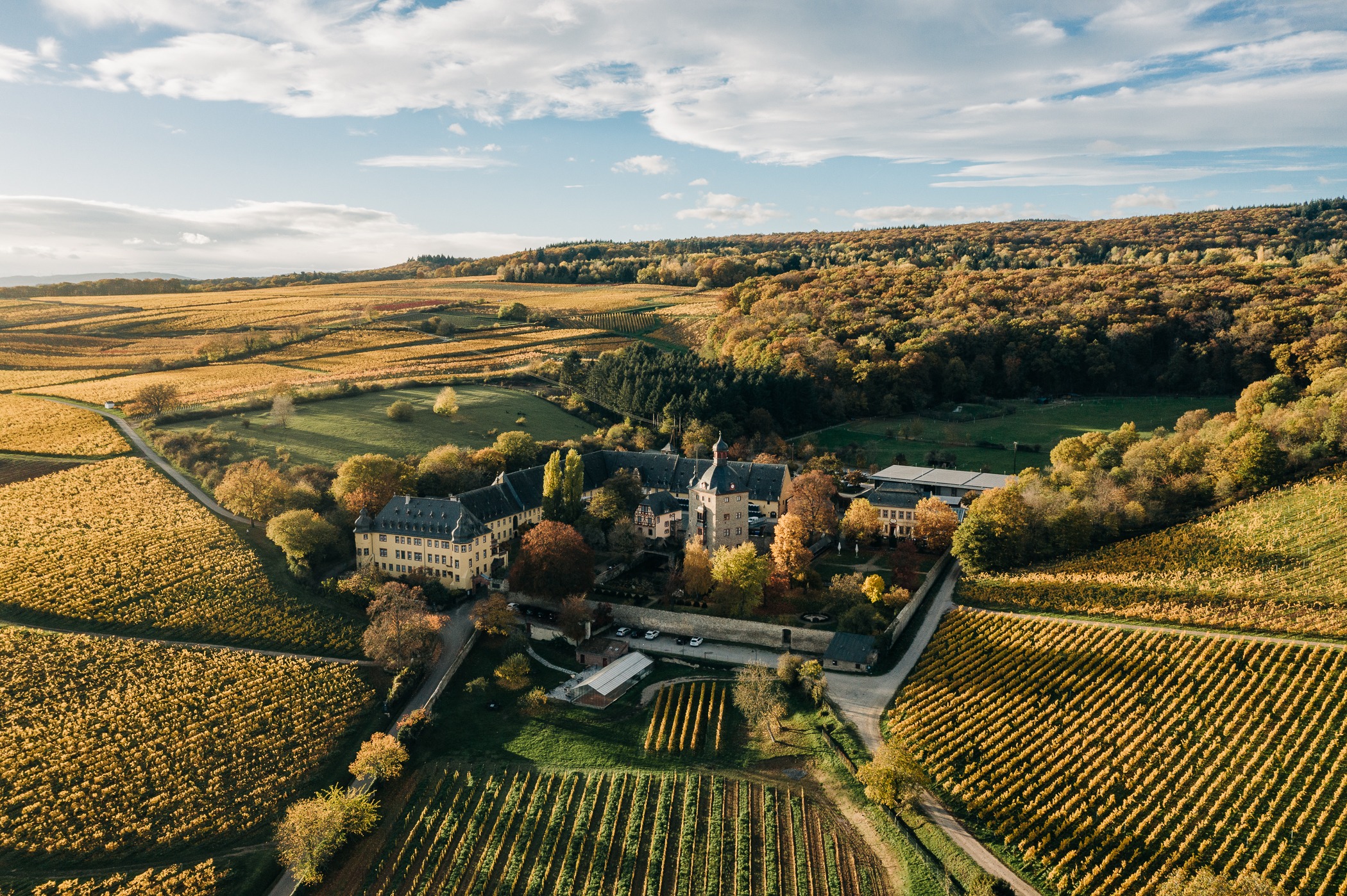 Inside the World's Oldest Wineries