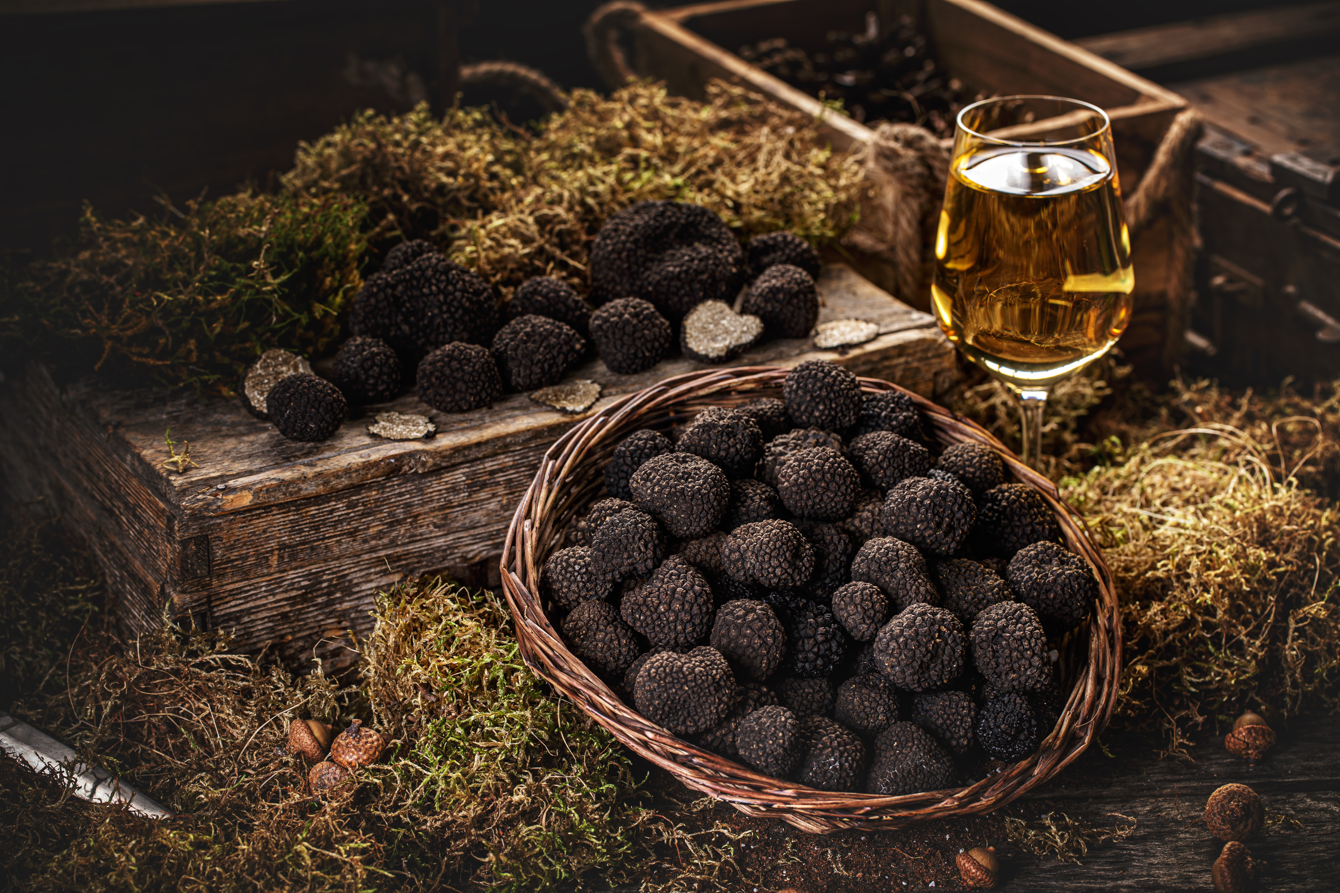 A Symphony of Earth and Elegance: When Wine and Truffles Sing