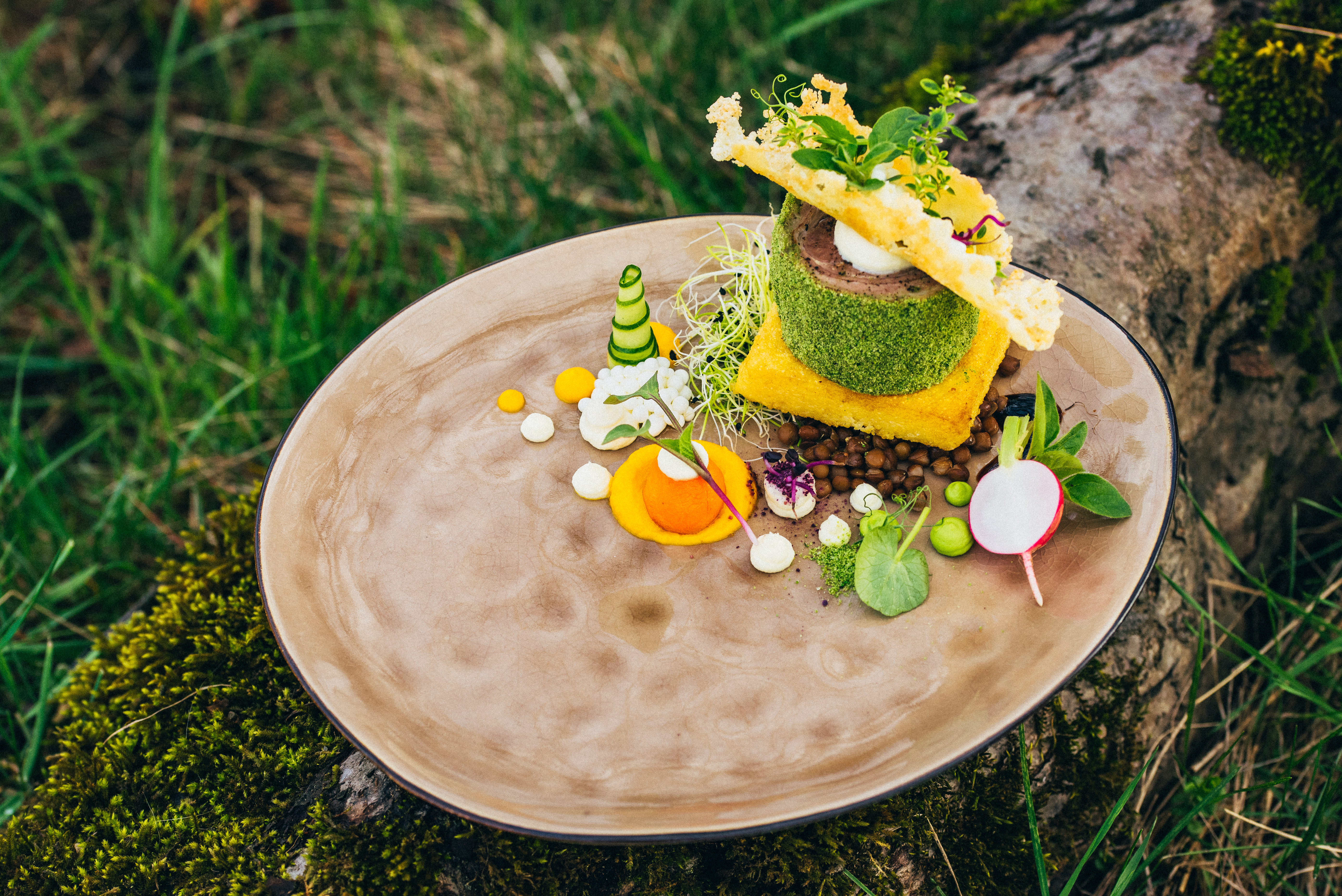 Back to the Root: Farm-to-Table in a Fast-Changing World
