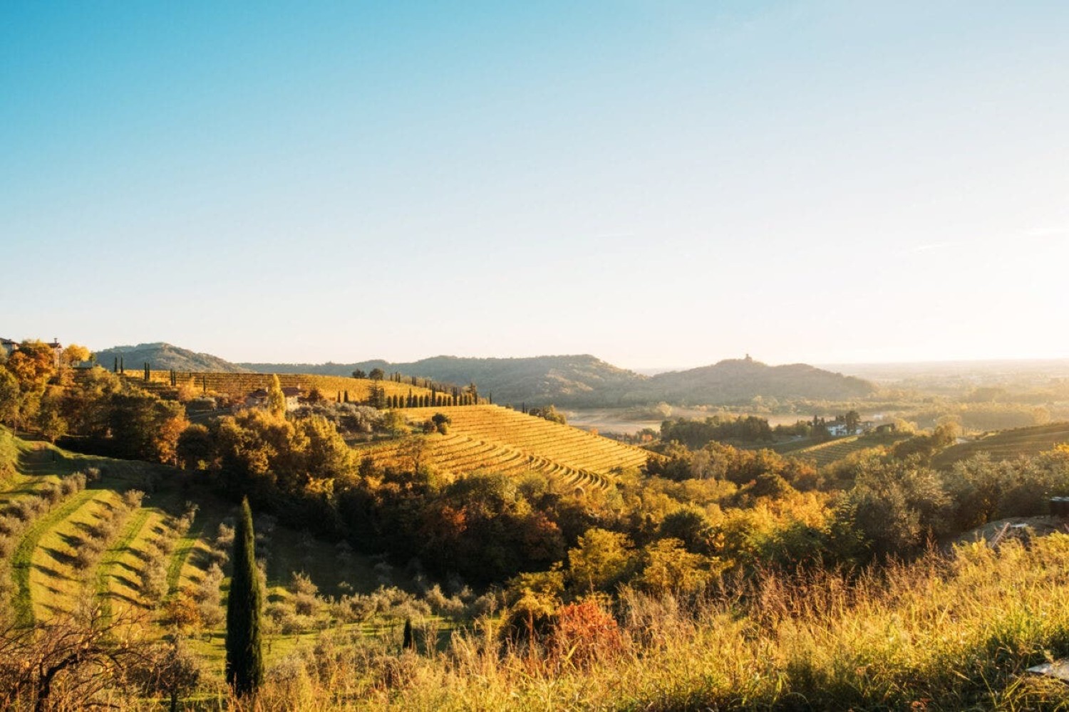 Beyond The Vineyard <br> Collio’s Orange Glow