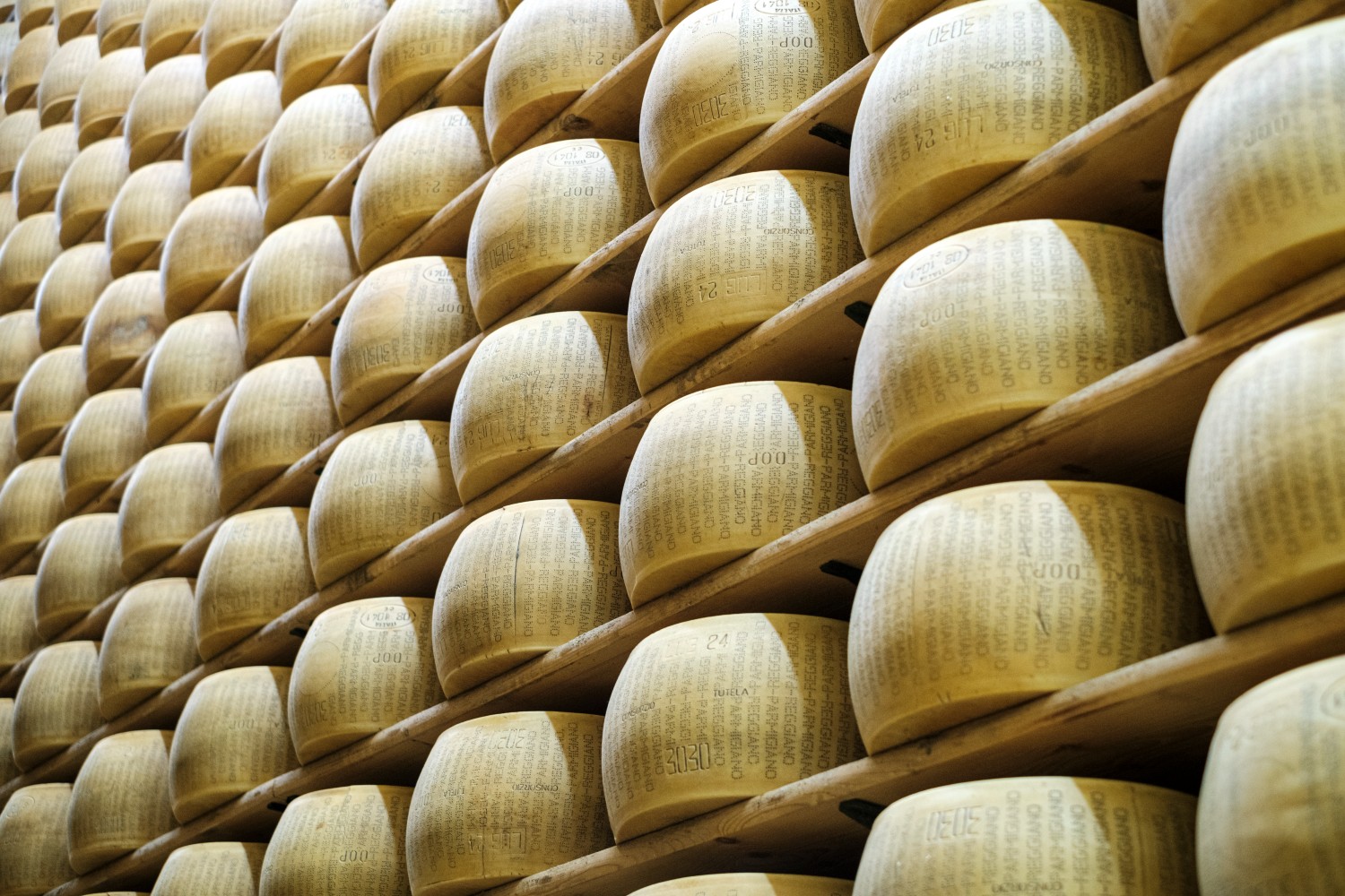 Two Crumbly Divas <br>  Parmesan vs. Grana Padano