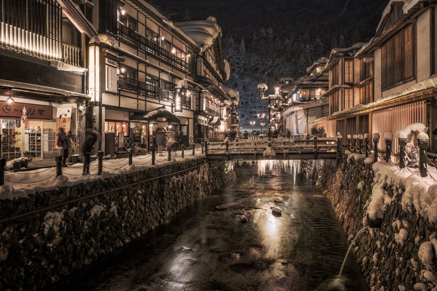 Hidden Winter Wonders