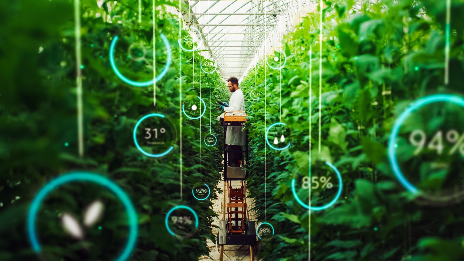 The Future Of Taste <br> Six Defining Food & Wine Trends for 2026