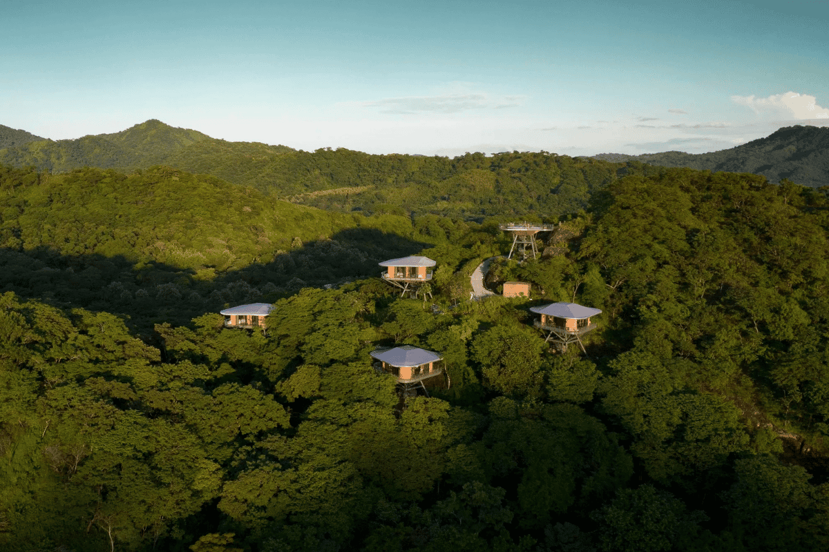 Travel That Gives Back <br> How Regenerative Hospitality is Shaping the Future of Luxury