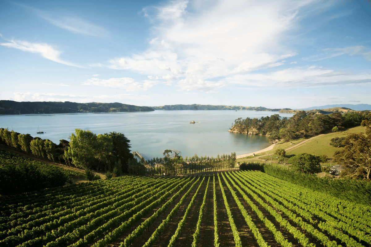 Waiheke’s Voice in Wine <br> Man O' War at Marina Bay Sands