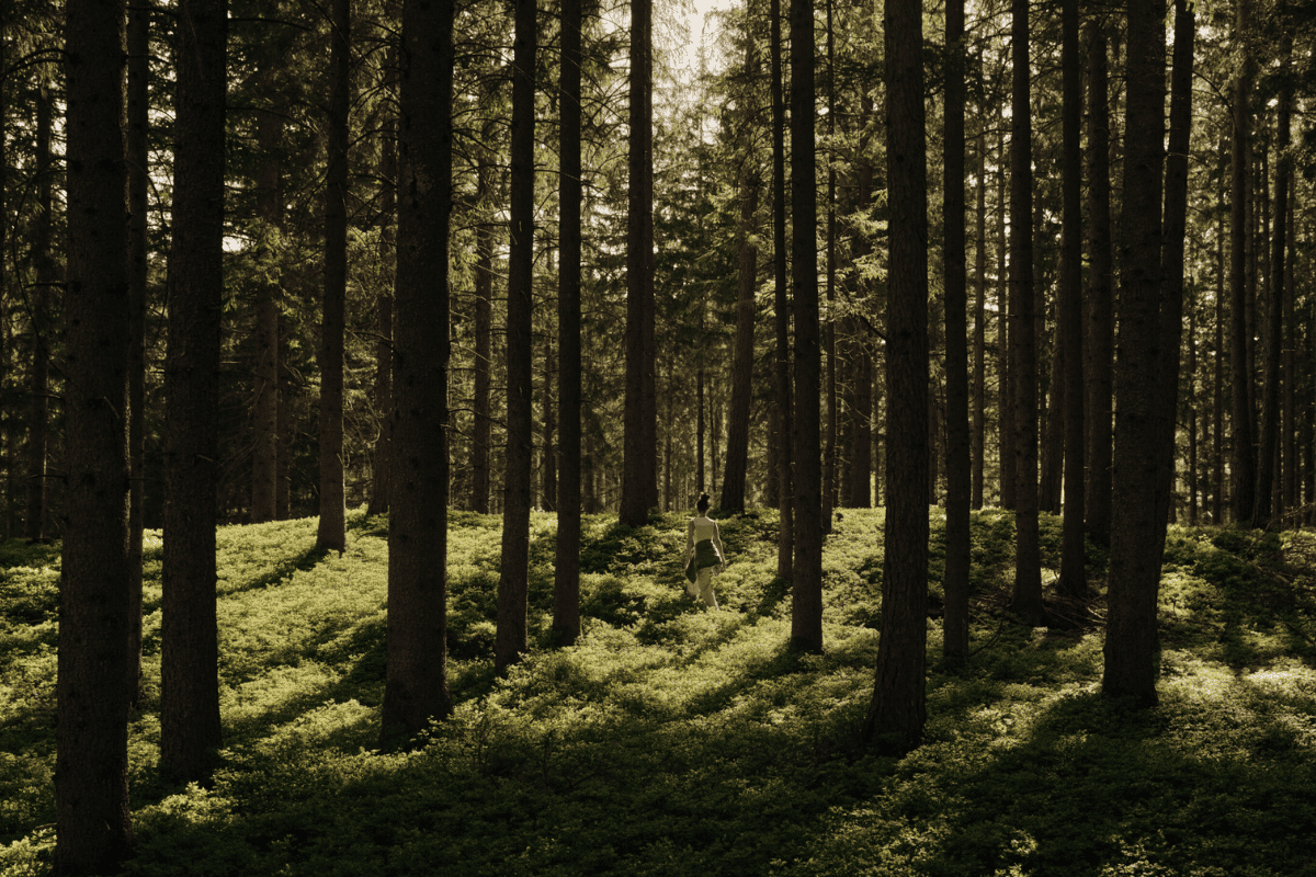 The Pursuit Of Vitality <br> Living Well is an Art